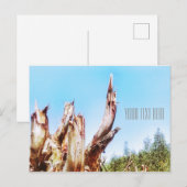 Carte postale Eucalyptus Tree Stump Blue Sky (Devant / Derrière)