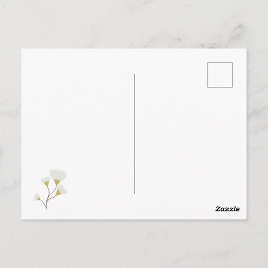 Carte Postale Eucalyptus Vert Argent Dollar Gum Blossoms (Dos)