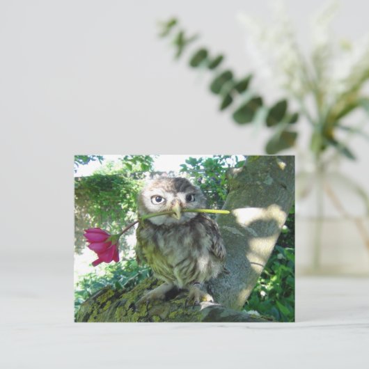 Carte Postale Eule mit Rose (Debout devant)