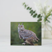 Carte postale Eurasian Eagle Owl (Debout devant)