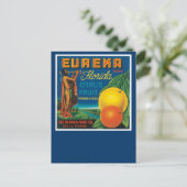 Carte Postale Eureka Brand Florida Citrus Fruit (Debout devant)