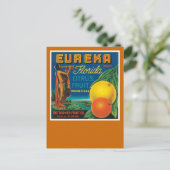 Carte Postale Eureka Florida Citrus Fruit (Debout devant)