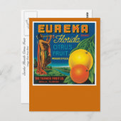 Carte Postale Eureka Florida Citrus Fruit (Devant / Derrière)