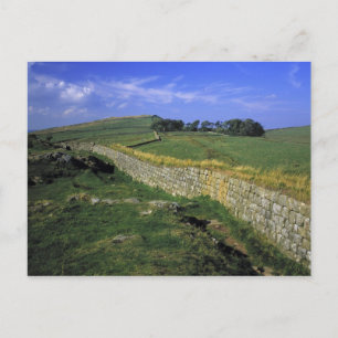 Carte Postale Europe, Angleterre, le mur d'Hadrien. Les pierres