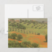 Carte Postale Europe, Italie, Toscane, Val D'Orcia, Monte (Devant / Derrière)