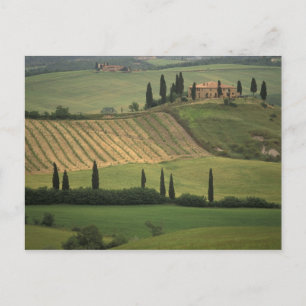 Carte Postale Europe, Italie, Toscane, Val d'Orcia, Toscane