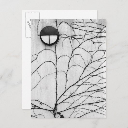 Carte Postale Europe, Suisse, Lucerne. Ivy motif sur (Devant / Derrière)