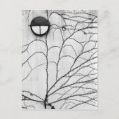 Carte Postale Europe, Suisse, Lucerne. Ivy motif sur (Devant)