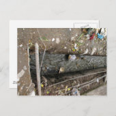 Carte Postale évacuation des eaux usées (Devant / Derrière)