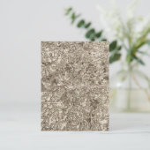 Carte Postale Evaux (Debout devant)