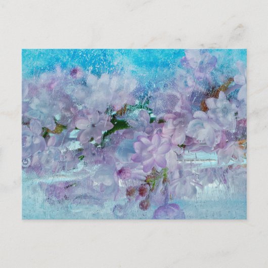 Carte Postale Éveil du printemps (Devant)