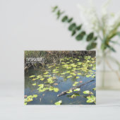 Carte postale Everglades (Debout devant)