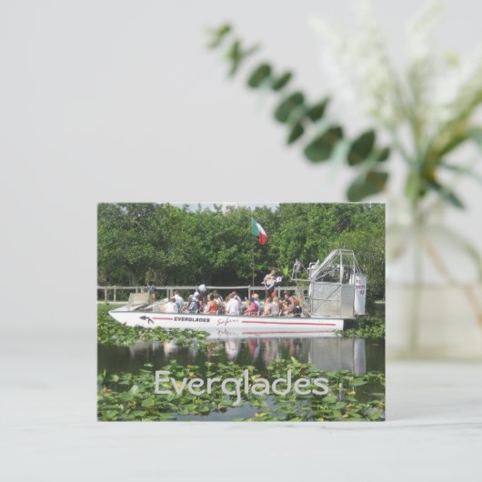 Carte Postale Everglades (Debout devant)