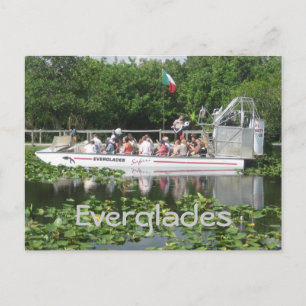 Carte Postale Everglades