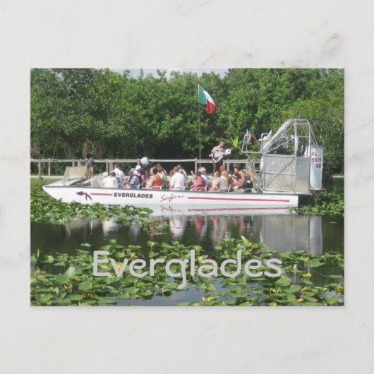 Carte Postale Everglades (Devant)