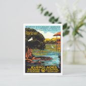 Carte Postale Everglades (Debout devant)