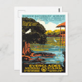 Carte Postale Everglades (Devant / Derrière)