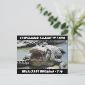 Carte Postale Everglades Alligator Farm - petit-déjeuner inclus  (Debout devant)