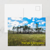 Carte Postale Everglades Cypress Blue Sky & Cloud Réflexions (Devant / Derrière)