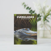 Carte Postale Everglades Floride Alligator Voyage (Debout devant)