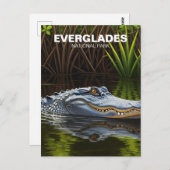 Carte Postale Everglades Floride Alligator Voyage (Devant / Derrière)