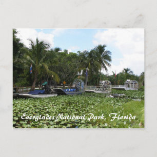 Carte Postale Everglades National Park, Florida