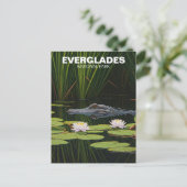 Carte Postale Everglades Parc National Floride Alligator Voyage (Debout devant)