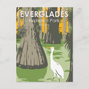 Carte Postale Everglades Parc National Floride Egret Vintage