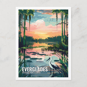 Carte Postale Everglades Parc National Floride USA