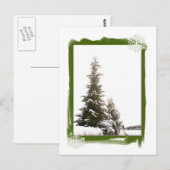 Carte Postale Evergreens d'hiver do-it-yourself (Devant / Derrière)