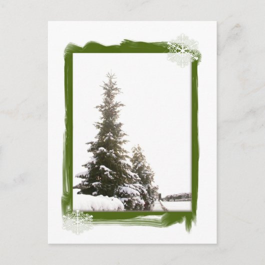 Carte Postale Evergreens d'hiver do-it-yourself (Devant)