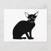 Carte Postale Evil Kitty (Devant)