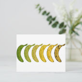 Carte Postale Évolution de banane (Debout devant)