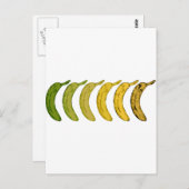 Carte Postale Évolution de la banane (Devant / Derrière)