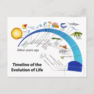 Carte Postale Évolution de la vie sur Terre Diagramme chronologi