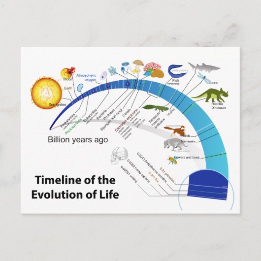 Carte Postale Évolution de la vie sur Terre Diagramme chronologi (Devant)