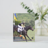 Carte postale Évolution des chevaux (Debout devant)
