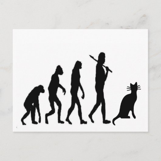 Carte Postale Evoultion Cat "We Believe"-Funny Cat Lovers (Devant)