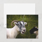 Carte postale Ewe (Devant / Derrière)