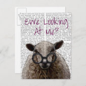 Carte Postale Ewe Regard Me DeNiro Mouton 2 (Devant / Derrière)