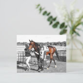 Carte Postale Exagérateur (Debout devant)