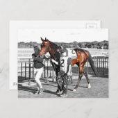 Carte Postale Exagérateur (Devant / Derrière)