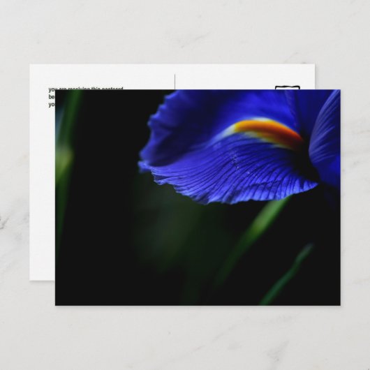Carte postale exceptionnelle (iris) (Devant / Derrière)