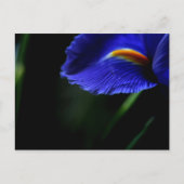 Carte postale exceptionnelle (iris) (Devant)