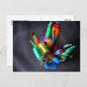 Carte postale exceptionnelle (pinceaux) (Devant / Derrière)