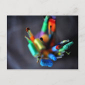 Carte postale exceptionnelle (pinceaux) (Devant)