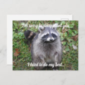 Carte Postale Excusez-moi Raccoon (Devant / Derrière)
