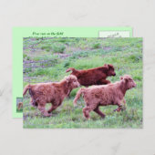 Carte Postale Exécuter gratuitement sur le terrain (Devant / Derrière)