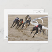 Carte Postale Exécuter sur la ligne (Devant / Derrière)