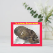 Carte Postale exécution du DMV LOCA (Debout devant)